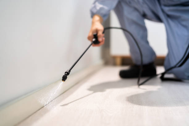 Licensed Pest Control service in Crandon, WI - Show Me Pest Control